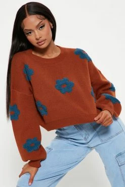 Fashion Nova Lazy Daisy Sweater - Brown/combo