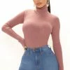 Fashion Nova Don't Loose Focus Turtleneck Sweater - Mauve Pullovers